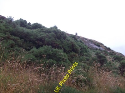 Foto 6x4 Felsen, Strath Fleet Kinnauld Whin bedeckter Felsen wird für muc c2015 gefunden