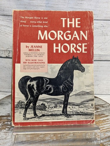 Jeanne Mellin Lot of 2 Vintage Books The Morgan Horse & Handbook Set - Picture 4 of 14