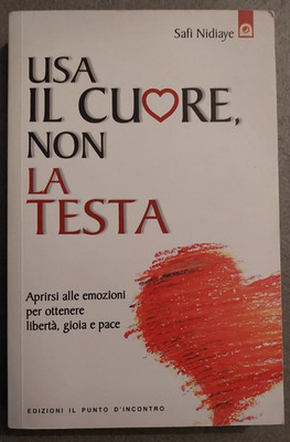 Safi Nidiaye USA IL CUORE NON LA TESTA - Il Punto d'Incontro prima edizione 2011