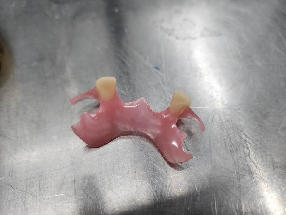 How to Choose a 3D Printer for Your Dental Practice or Lab
