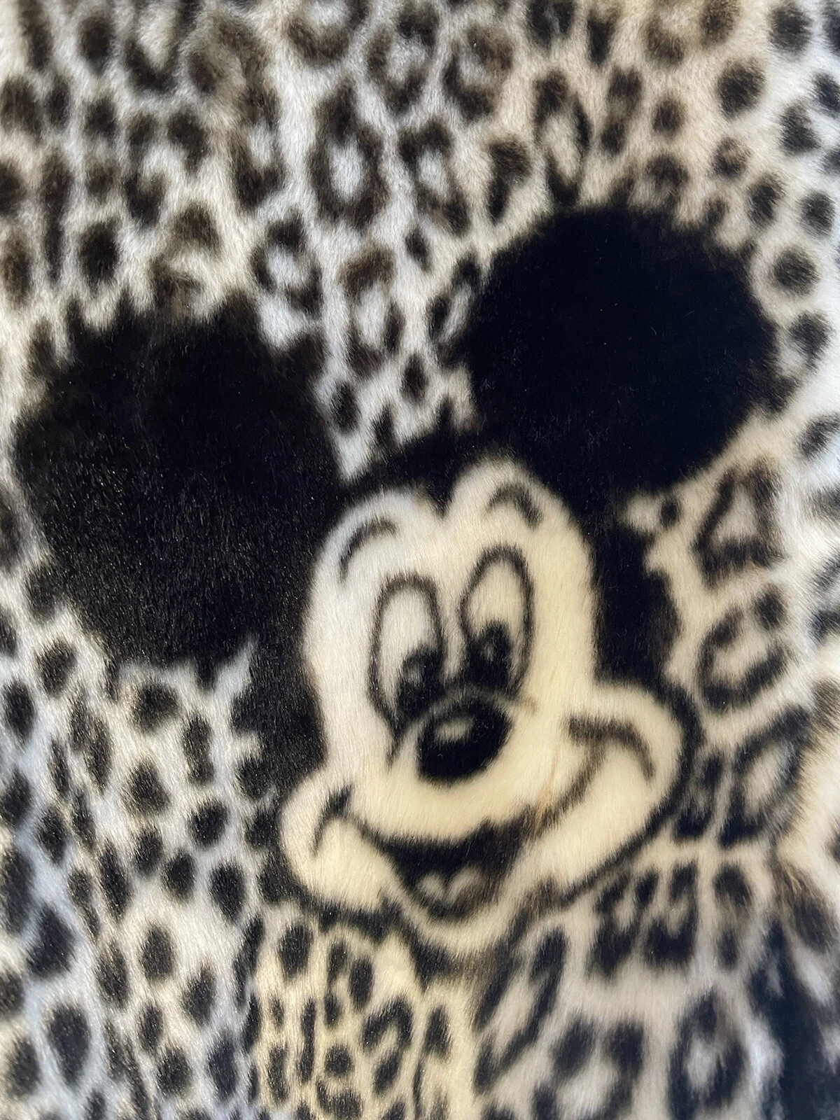 Picture 17 of 17