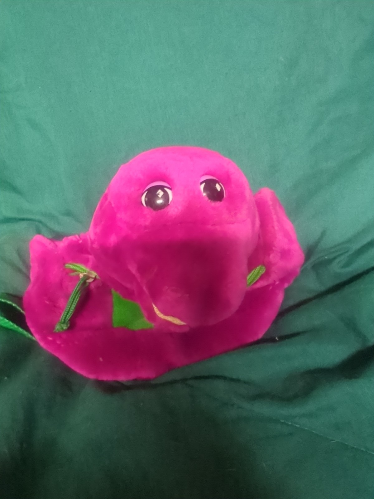 Picture 5 of 11