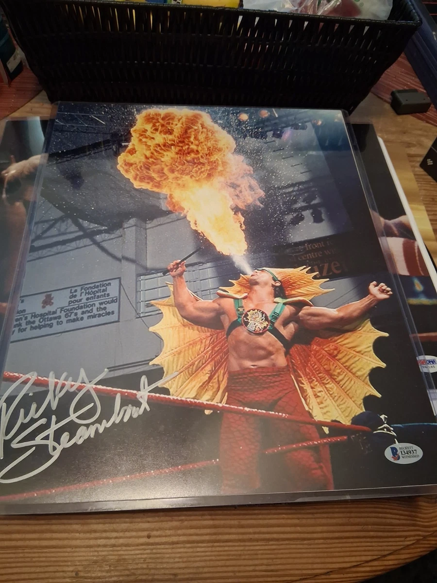 Ricky Steamboat WWE Wrestling Original Autographed Items for sale