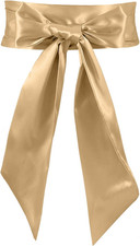 Women Sash Belt for Dress Long Satin Waist Belt for Wedding Party Special Occasi