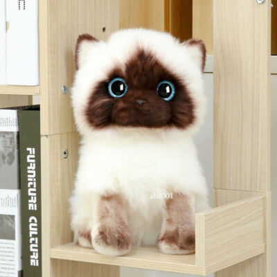 Lovely Realistic Ragdoll Kitten Plush Toy Stuffed Furry Little Siamese Cat  Doll