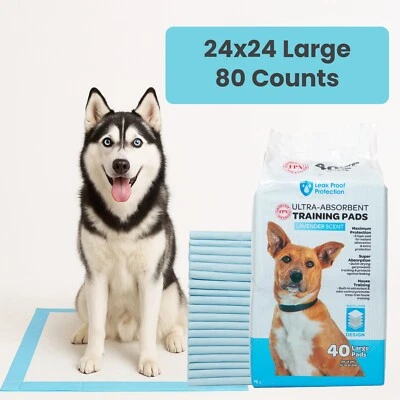 FPN-LLC Dog Training Pads Ultra-Absorbent Scented Blue Pet Pads 24x24 In Large 80 Counts