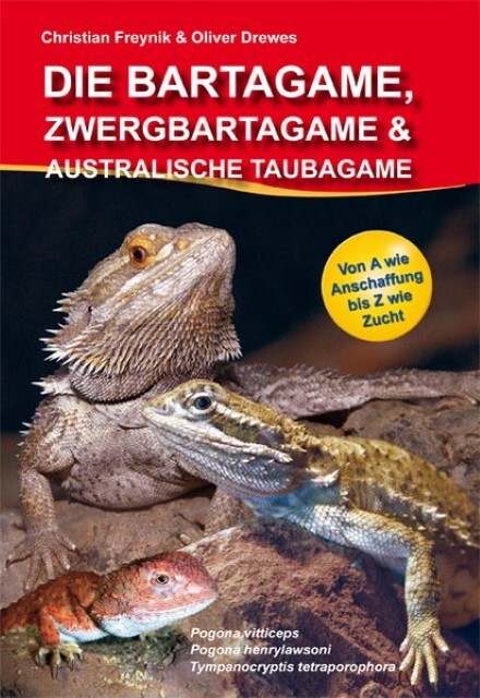 Die Bartagame, Zwergbartagame & Australische Taubagame Oli ...