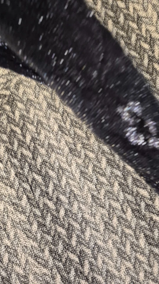 BKE Women's Size Small long sleave shear floral top black y2k - Image 3 of 4