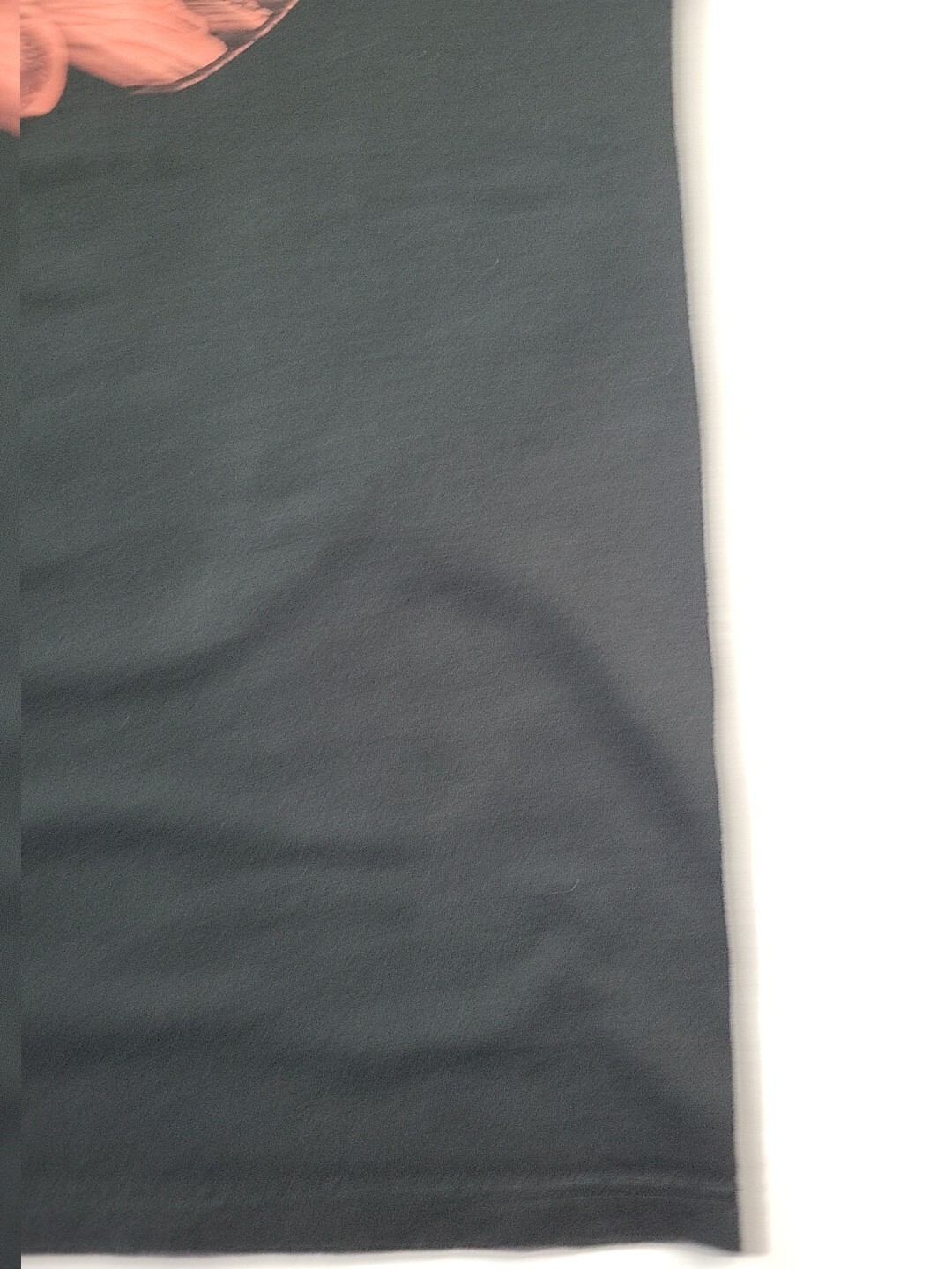 Picture 6 of 20