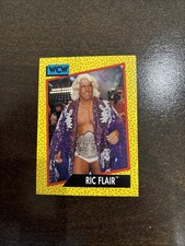 Ric Flair 1991 WCW # 44 Nature Boy