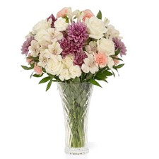 Aquarossa Farms   Fresh Cut Flowers for Delivery, Gifts Assorted Colors