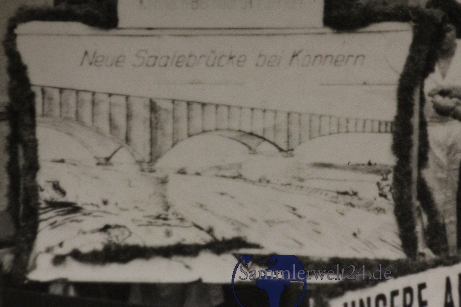 Bild 11 von 12