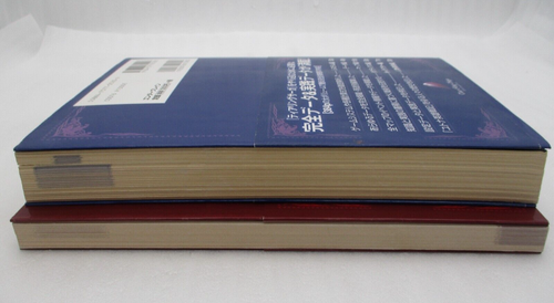 PS1 TearRing Saga w/ 2 Guide Book & Original Soundrack CD Japan Like Fire Emblem - Picture 14 of 16