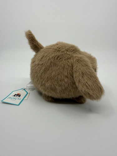 Jellycat Authentic Caboodle Puppy Small Fluffy Dog Soft Plush Collectable NWT - 第 4/7 張圖片
