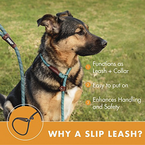 friends forever dog leash