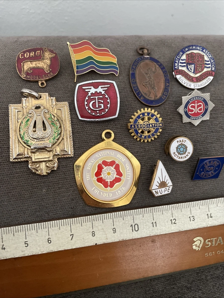 PINS PIN'S LAPEL PIN BADGE COLLECTION VINTAGE LOGO US MOUY