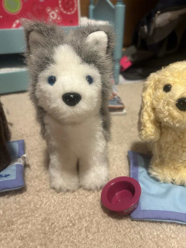 TRES American Girl Dogs (miel, chispas de chocolate y pimienta) Foto 3 de 4