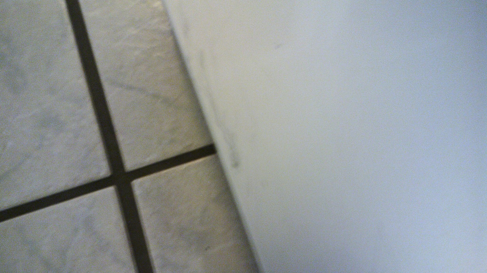 Bild 11 von 17