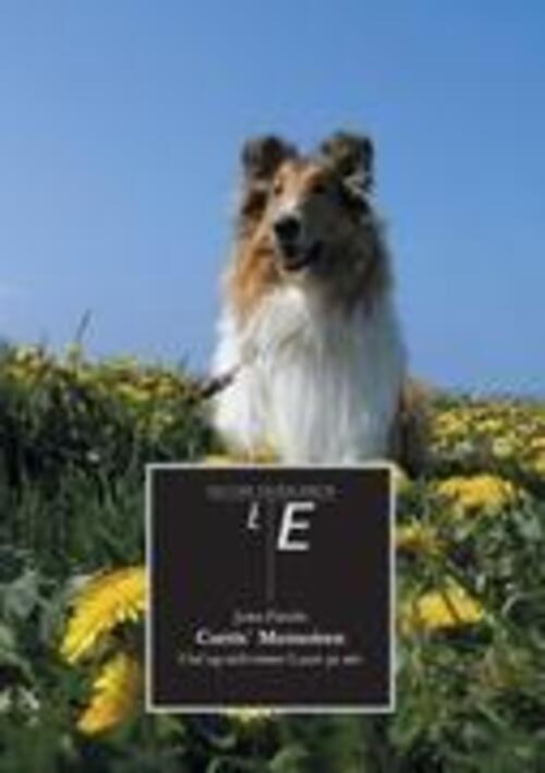 Thumbnail - Jutta Fürcht | Curtis' Memoiren | Taschenbuch | Deutsch (2011) |