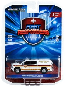 Modellino Ambulanza Personalizzata 1/64 Greenlight Fort Cherry – Dodge Diecast