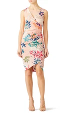 Nicole Miller Collection 6 Floral Stephanie Sheath Dress Sleeveless NWT $355