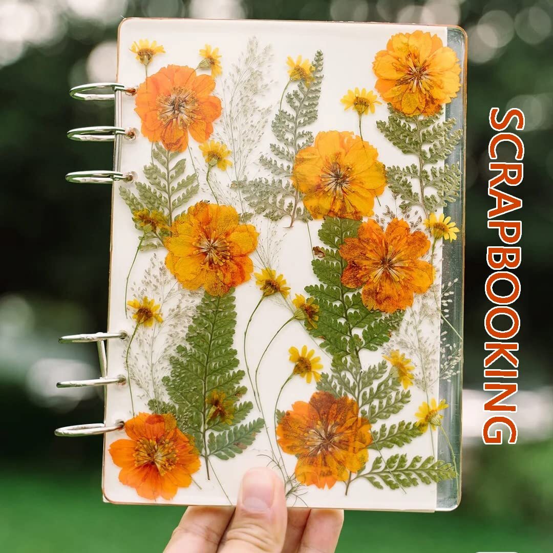 Big Dried Flowers for Resin Mold Pressed Flower Natrual Dry Leaves Plant Herb...