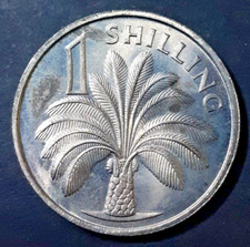 Gambia 1 shilling 1966 almost uncirculated coin great condition