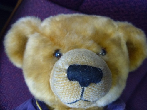 Harrods 2000 Christmas Teddy Bear - Picture 13 of 13