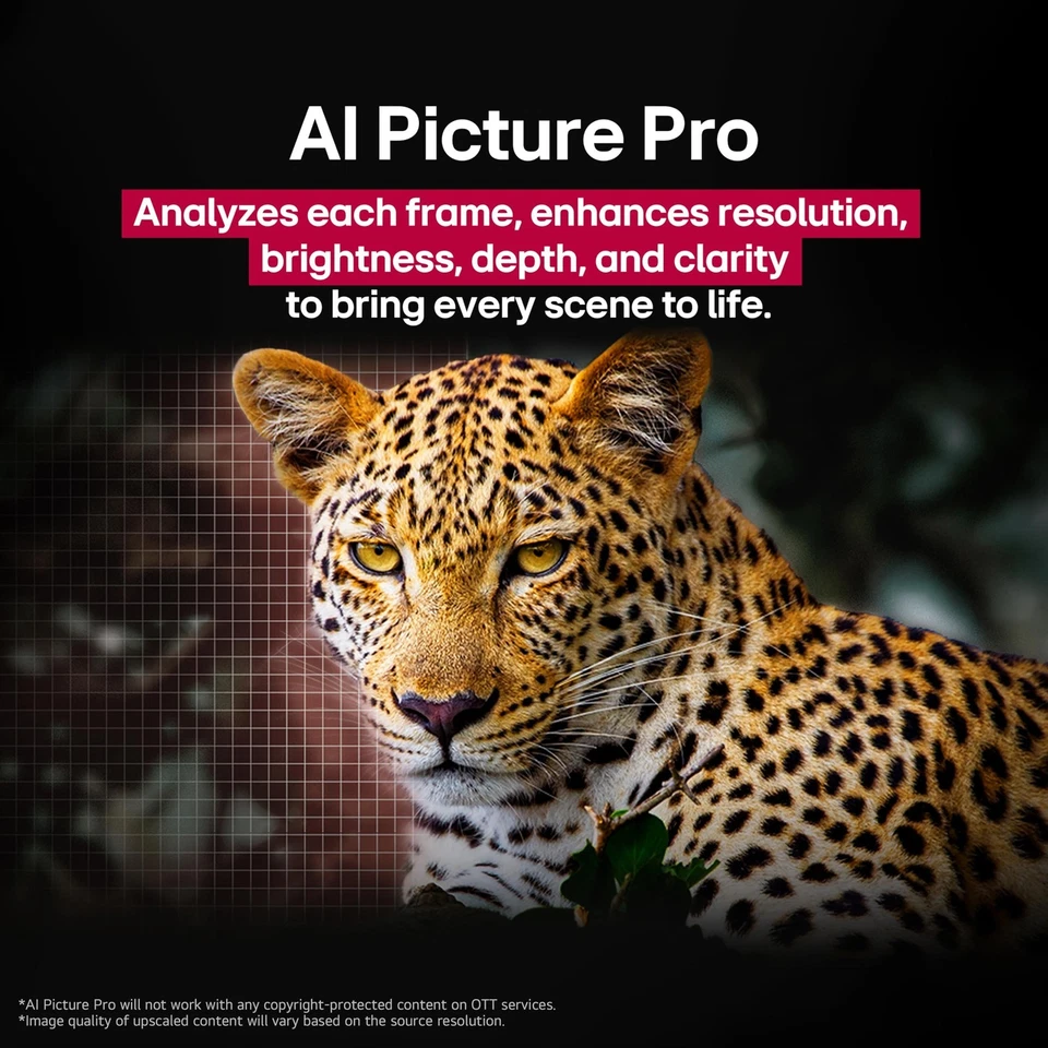 product-image-6