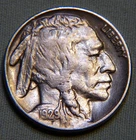 1929 S United States Buffalo Nickel - AU Toned Beauty With Full Horn - Lot 1001