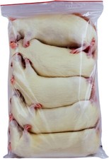 Ratte XXL 251-350g - 50 St&uuml;ck - Frostfutter f&uuml;r Reptilien, Katzen ect.