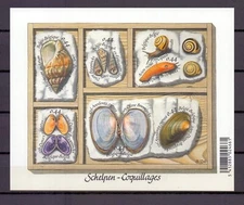 BELGIUM - 2005 Shells and Snails souvenir sheet #2101 -  VF MNH