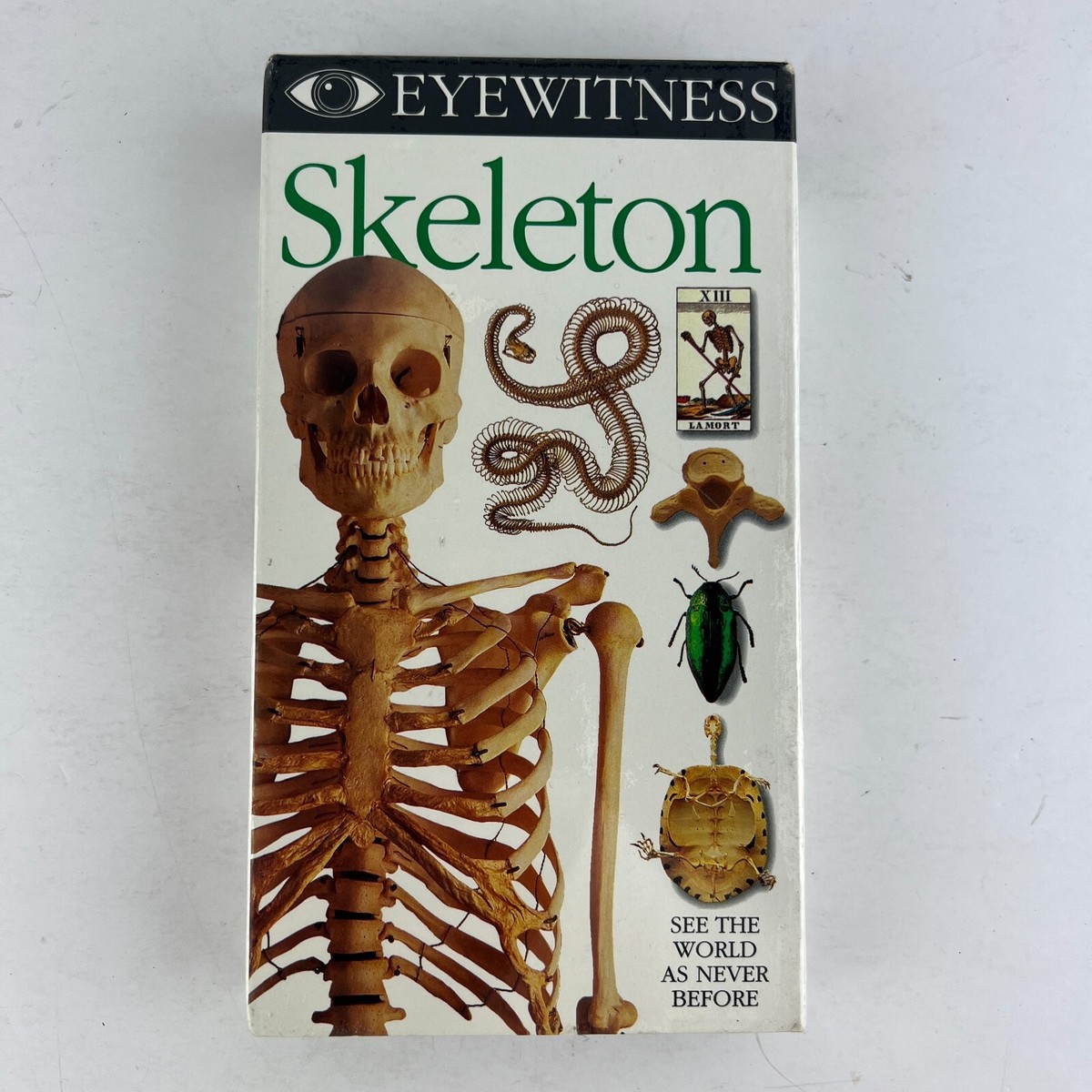 D.K. Eyewitness - Skeleton VHS Video Tape New Sealed | eBay