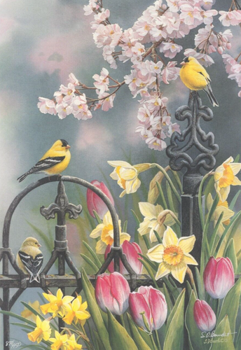 "Estaciones victorianas - jilgueros de primavera" de Susan Bourdet. Impresión edición limitada. - Imagen 2 de 5