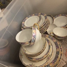 Thomas 3091 Salad Dinner Plates Bowls And Cups 