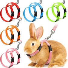Cat Harness Leash Set Escape Proof Adjustable Nylon Halter for Kitten Pets