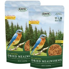 Dried Mealworms 22 lb. - High Protein Insects - Sugar Glider, Chicken, Wild Bird