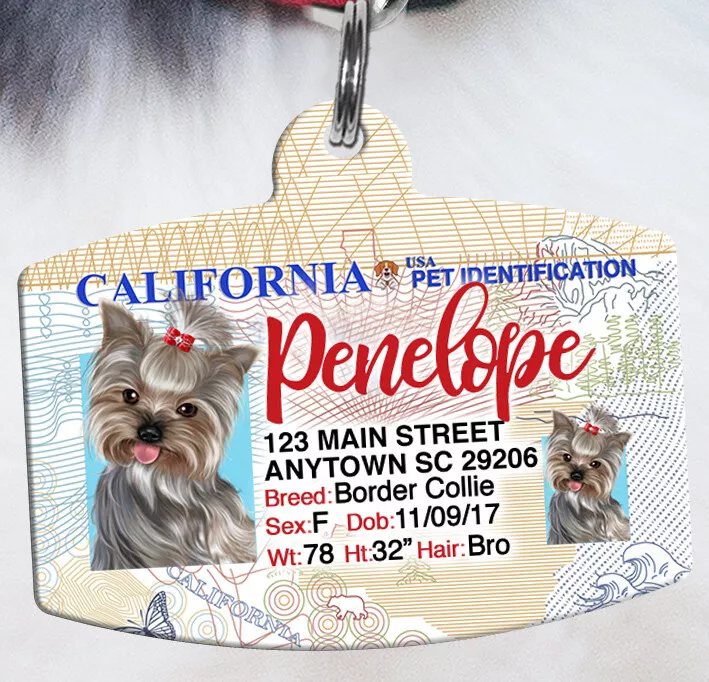 Pet id tags that looks like driver's license 2025
