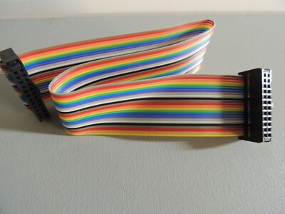 1 ft 24-Pin (2x12) Female to Female 2.54mm-Pitch IDC Flat Ribbon Cable
