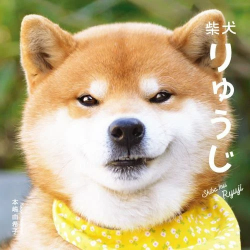 Shiba ebay hotsell