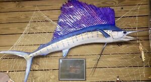 Sail Fish Mount | eBay Sail Fish Mount | eBay