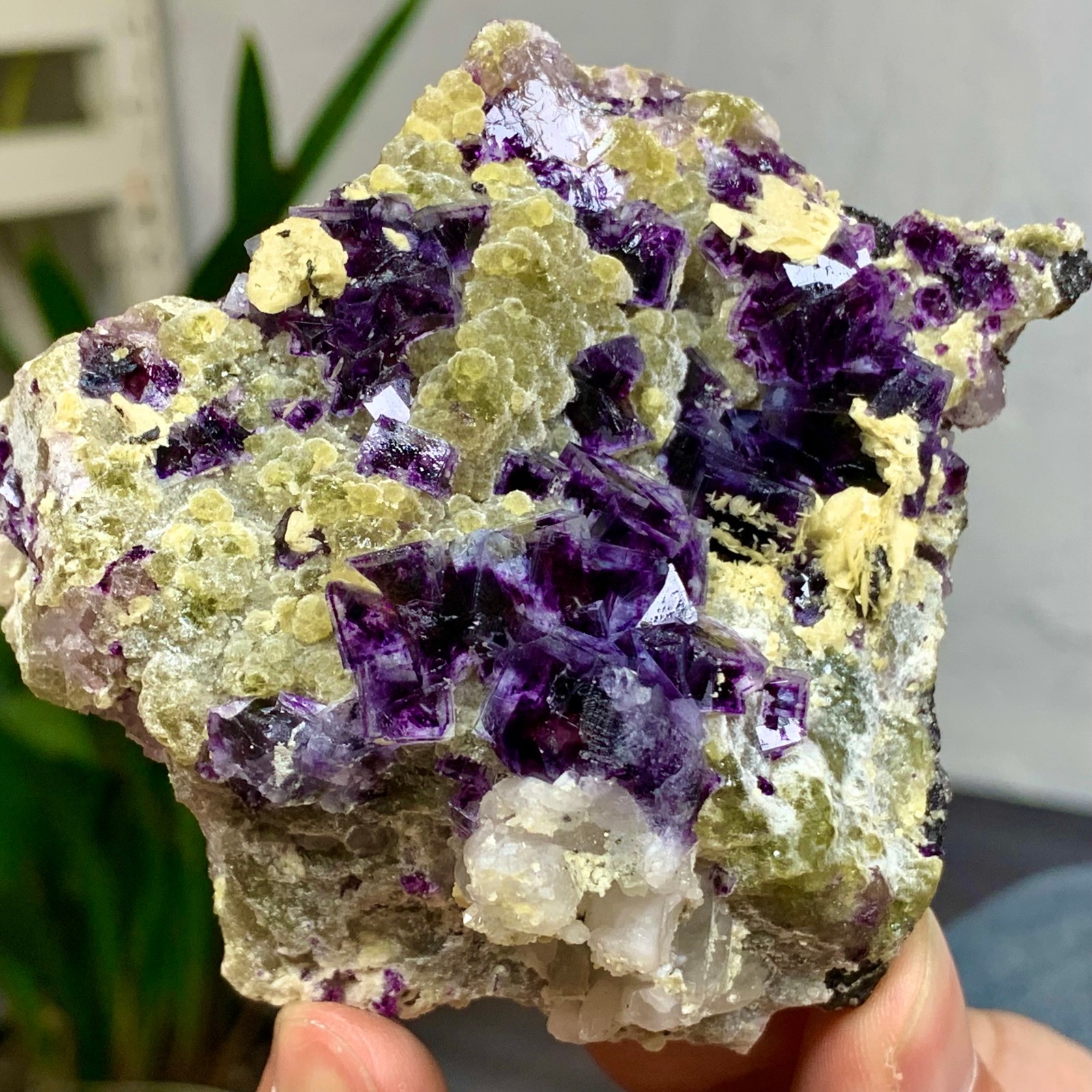 292G Natural Purple Phantom Cube Fluorite Crystal Specimen from Yaogangxian Mine