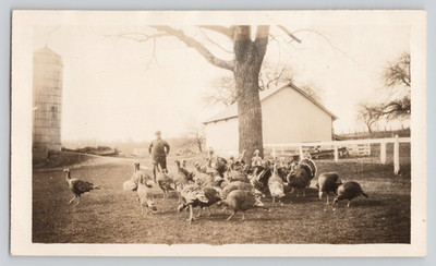 Found Photo Turkey Farm Flock Barn Silo Farmer Rural Agriculture 1910s 4.5x2.75''