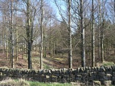 Photo 6x4 Dry stone wall across the Vallum between Milecastles 23 and 24  c2009