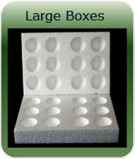 10 X 12 HOLE� LARGE POLYSTYRENE EGG BOXES HATCHING/INCUBATION CHICKEN