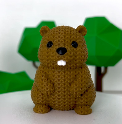 Tag Along: Bucky Beaver