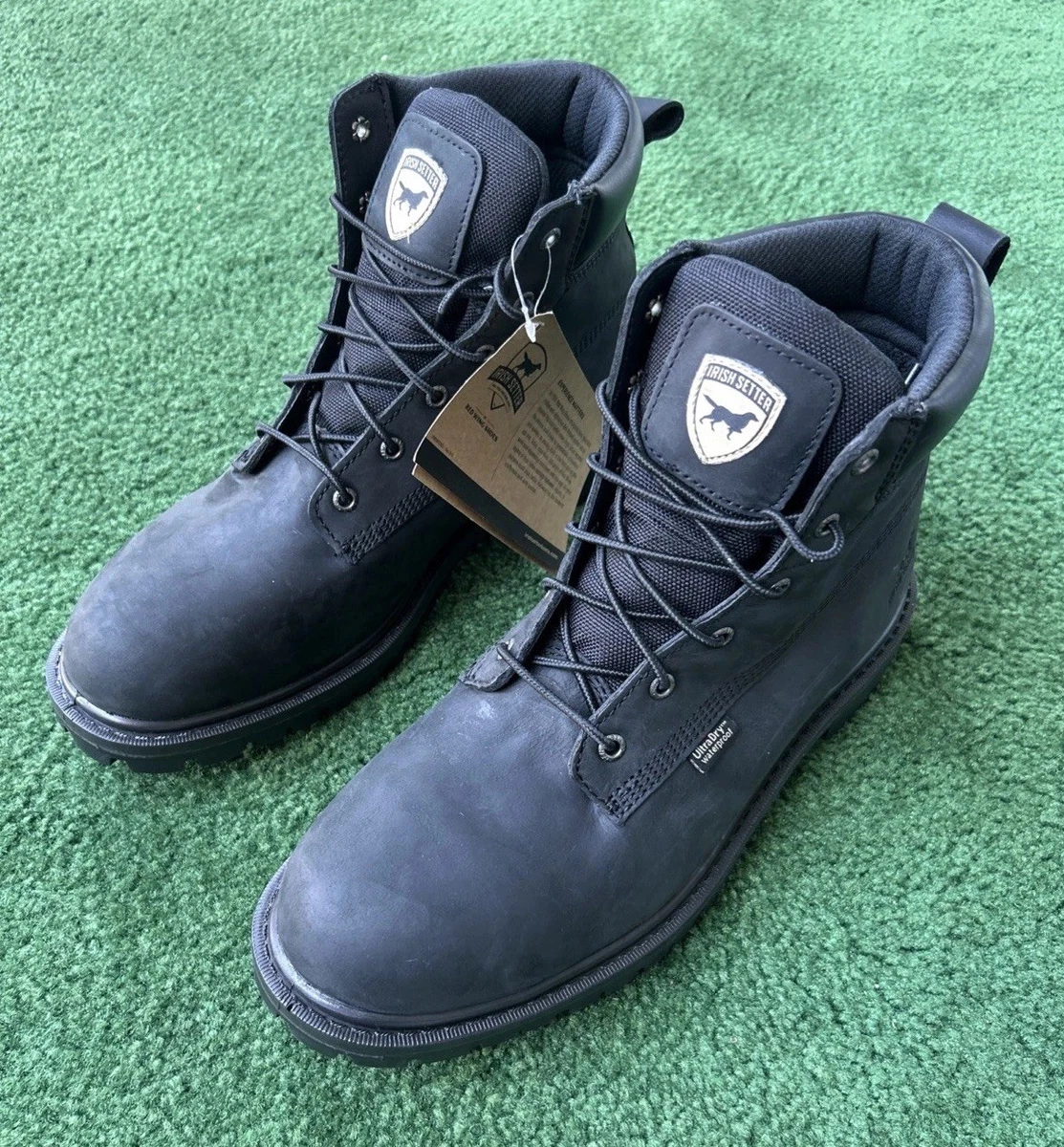 Irish Setter Hopkins 6\