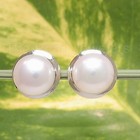 White Cultured Pearl Stud Earrings Tpj 14k White Solid Gold Encircle set Genuine