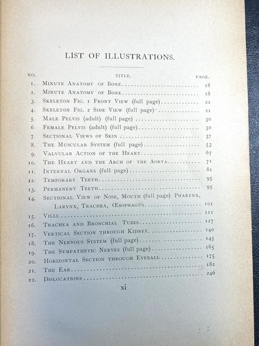 Rezepte und wie man sie benutzt VOL I ein anatomisches und physiologisches... 1892 - Bild 9 von 17