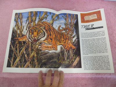 Vtg NOS Tandy Leather Doodle Page of the Month Pattern - Tiger